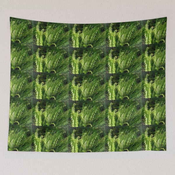 Item preview, SWORD FERNS IN EARLY MORNING LIGHT designed and sold by Elaine Bawden.