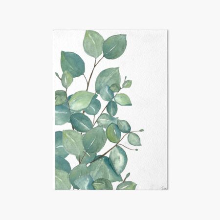 Eucalyptus Leaves Art Board Print