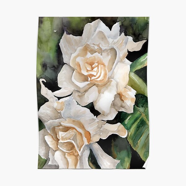Gardenia Poster