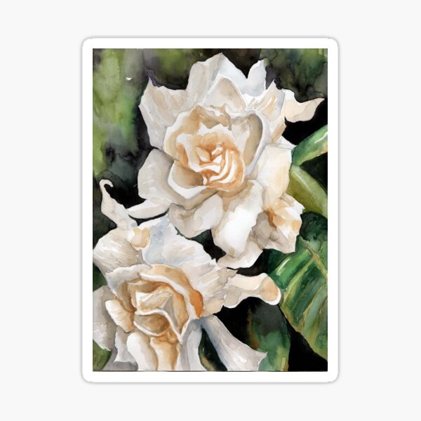 Gardenia Sticker