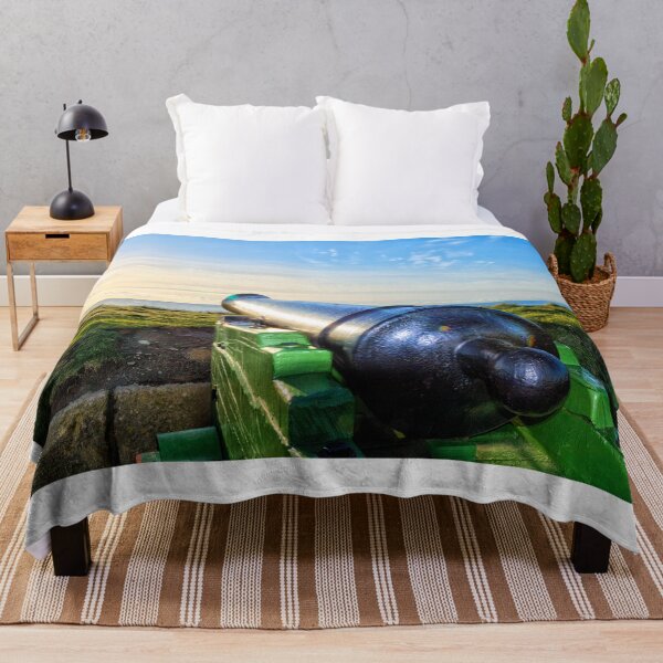 Item preview, Old cannon on the coast designed and sold by masterchef-fr.