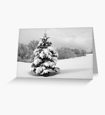 Winter Wonderland Greeting Card