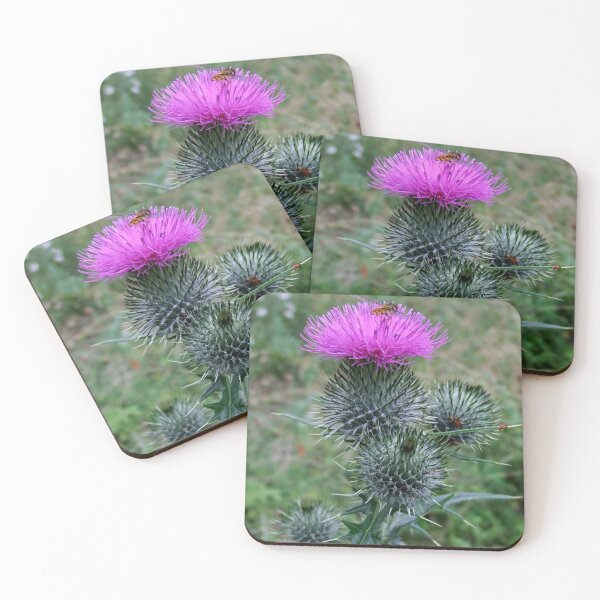 Item preview, Scottish Thistle designed and sold by AnnDixon.