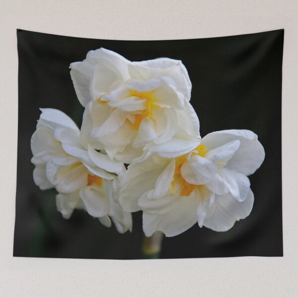 Item preview, Triple Headed Double Narcissus designed and sold by AnnDixon.
