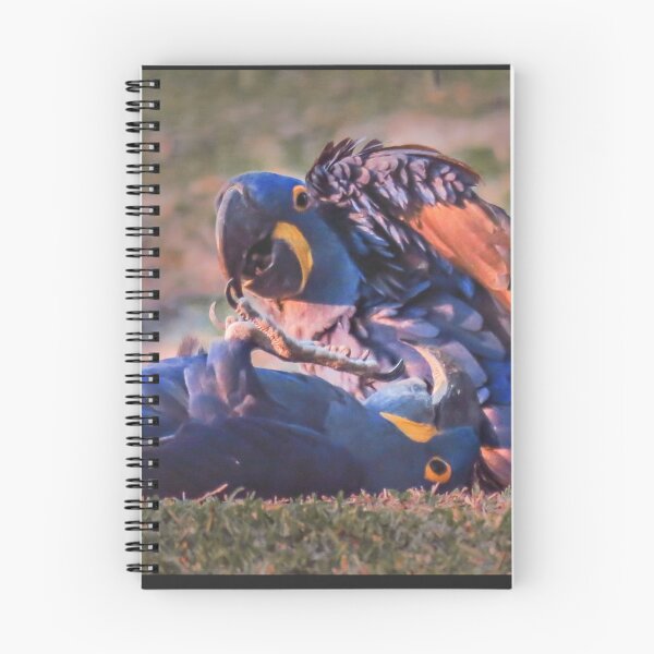Item preview, Macaw wrestling designed and sold by Linda Sparks.