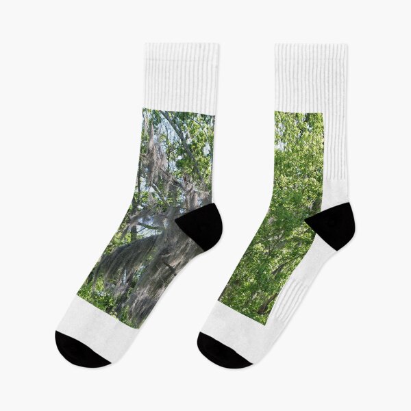 Item preview, Mossy Trees in USA designed and sold by AnnDixon.
