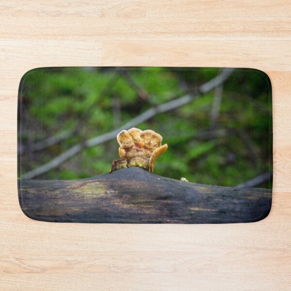 Item preview, Fungal remains designed and sold by Dave Hare Photography.