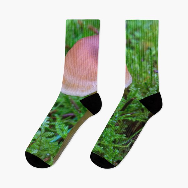 Item preview, Fungi dividido designed and sold by Dave Hare Photography.