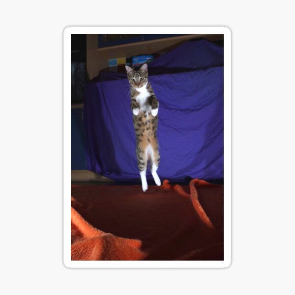 Alien cat Sticker