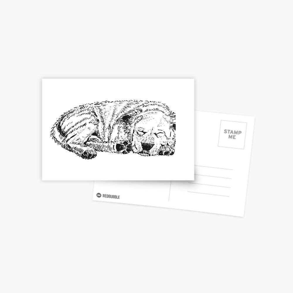 Let Sleeping Dogs Lie - Postcard Postcard