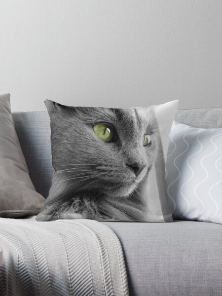 Artikel-Vorschau von Atemberaubende graue, grünäugige Katze, designt und verkauft von PandLcreations.