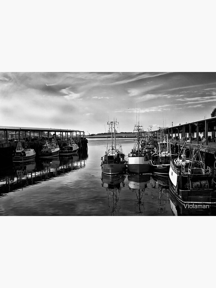 "North Shields Fish Quay" Photographic Print for Sale by Violaman