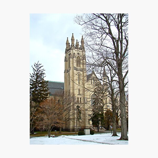 Item preview, St. Elizabeth College - Morristown - New Jersey - USA designed and sold by MotherNature2.