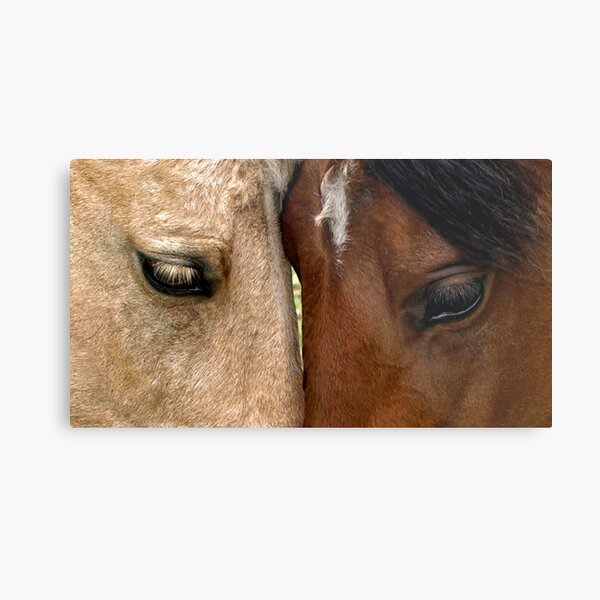 Face to Face Metal Print