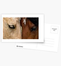 Face to Face Postcards