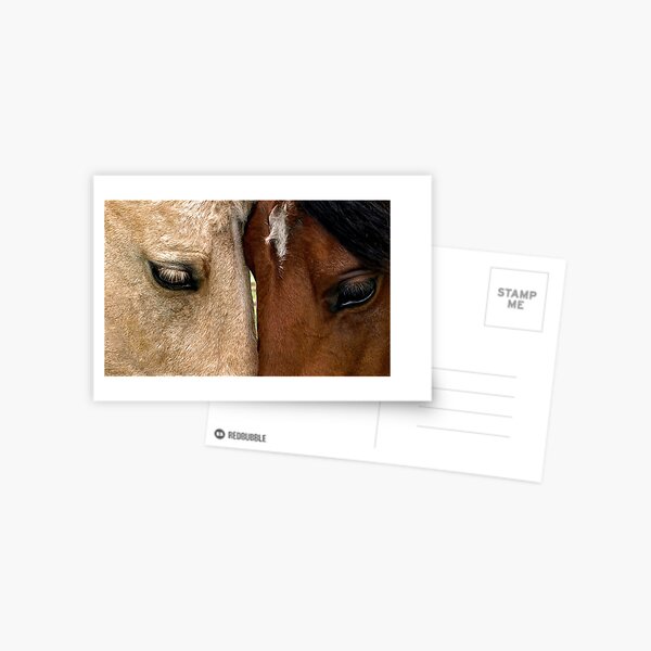 Face to Face Postcard
