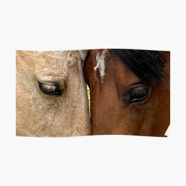 Face to Face Poster