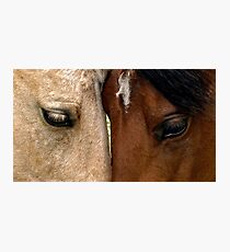 Face to Face Photographic Print