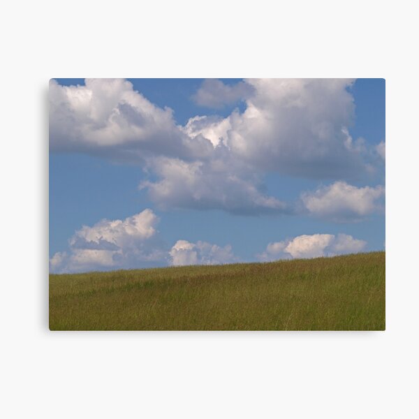 Elements of Peace Canvas Print