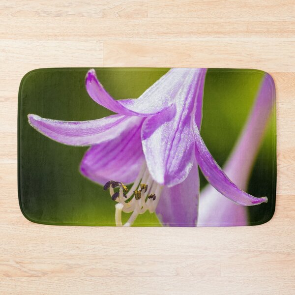 Item preview, Hosta designed and sold by John Velocci.