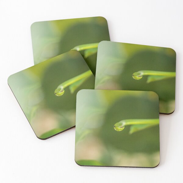 Item preview, Snake culebra verde 2 designed and sold by Nicole Bleck.