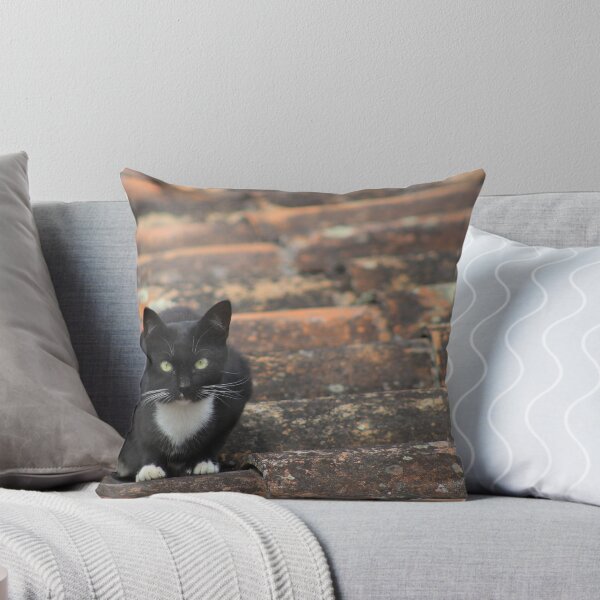 Item preview, Black and White Cat on a Roof designed and sold by rhamm.