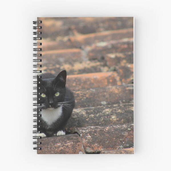 Item preview, Black and White Cat on a Roof designed and sold by rhamm.