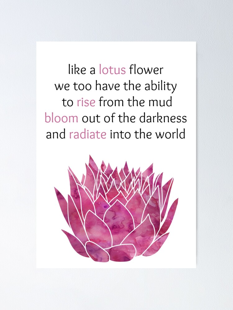 Like A Lotus Flower 