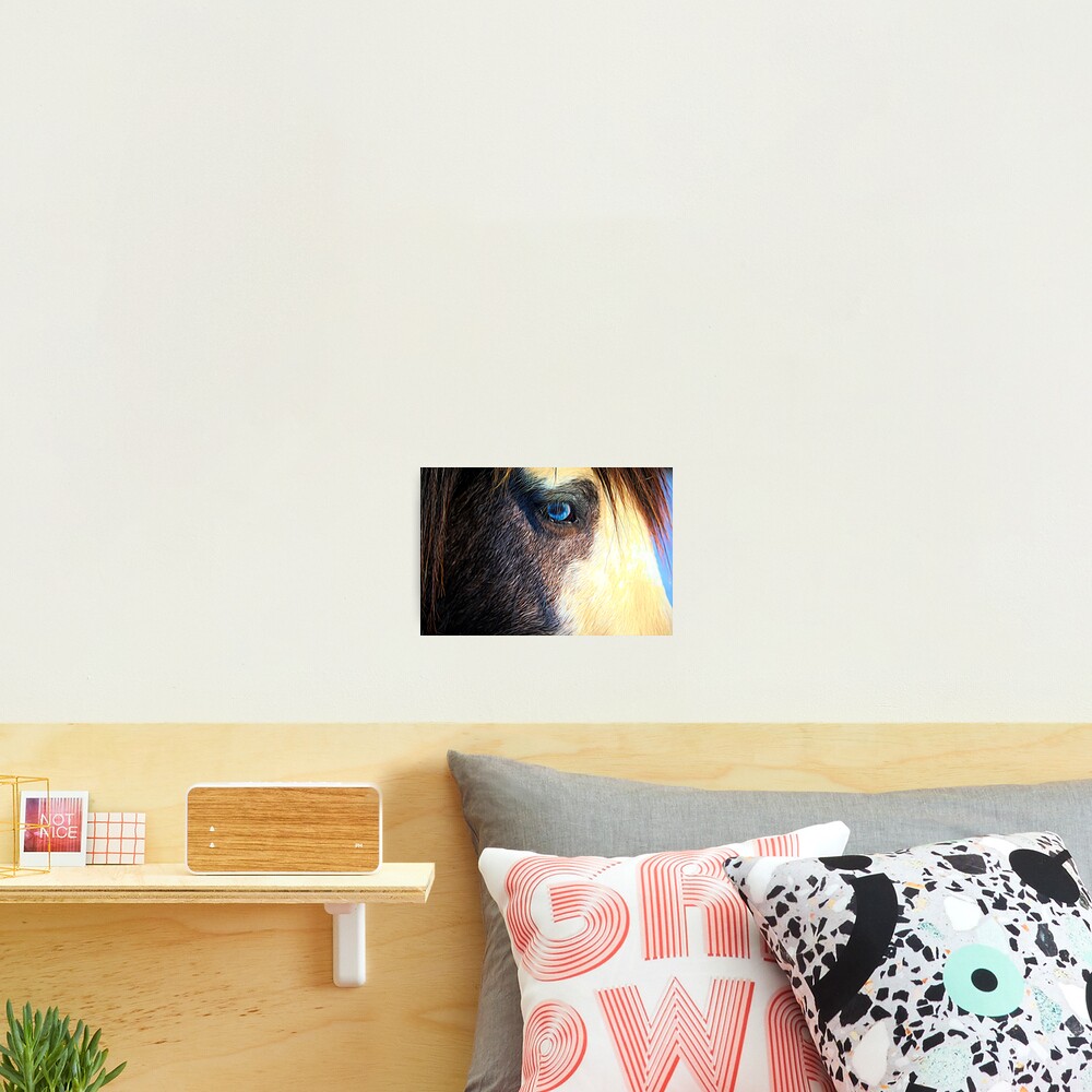 Item preview, Photographic Print designed and sold by RJDowns.