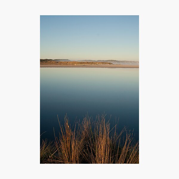 Item preview, Reeds  -  Wilson Inlet designed and sold by pennyswork.