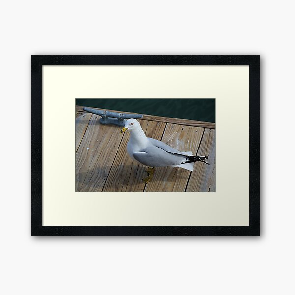 Item preview, Sea Gull Sitting on the Dock of the Bay designed and sold by Paulette1021.