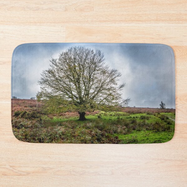 Item preview, Single Exmoor Tree designed and sold by Dave Hare Photography.