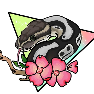 Artwork thumbnail, Magical Ball Python (axanthic) by Morgan Carpenter