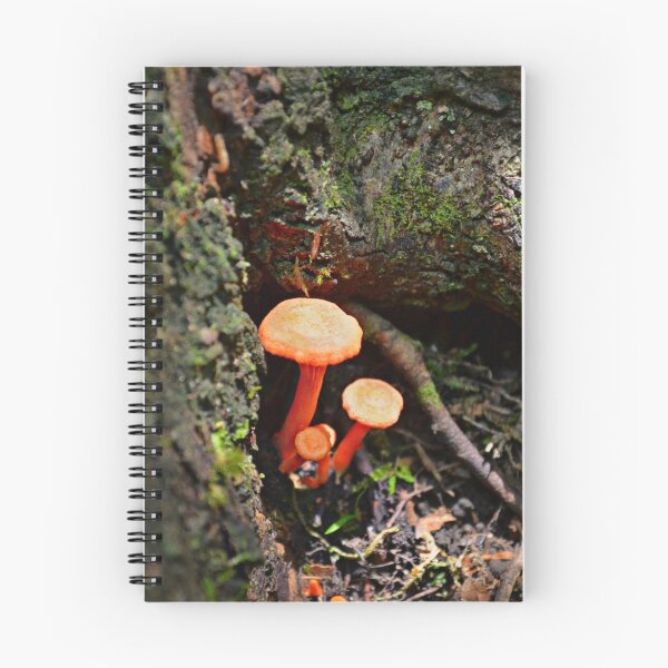 Item preview, All the beauty of the world designed and sold by Scott Mitchell.