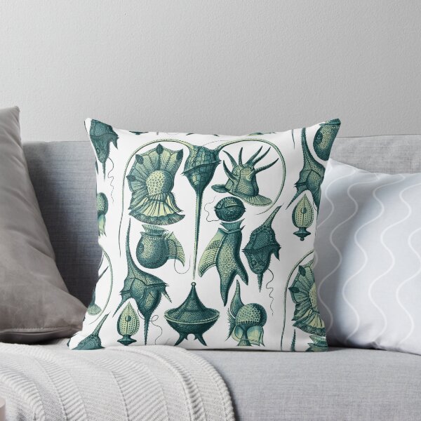 Item preview, Ernst Haeckel Peridinea Plankton Teal designed and sold by aimeewilson.