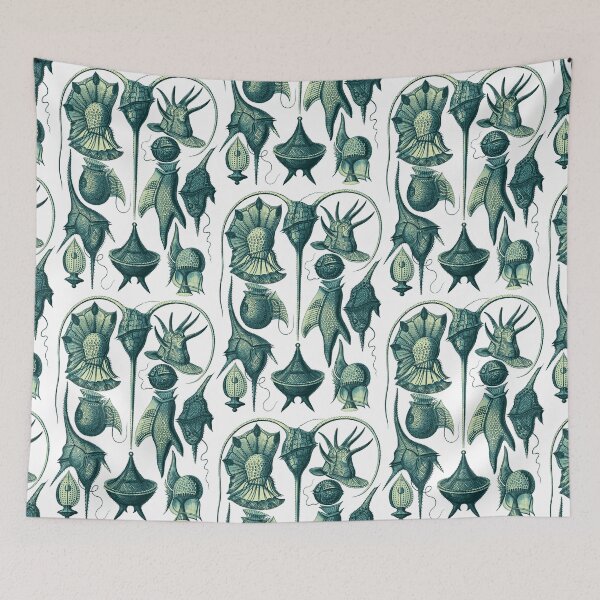 Item preview, Ernst Haeckel Peridinea Plankton Teal designed and sold by aimeewilson.