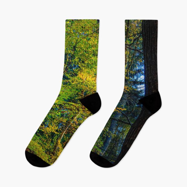 Item preview, Autumnal Woodland designed and sold by Dave Hare Photography.