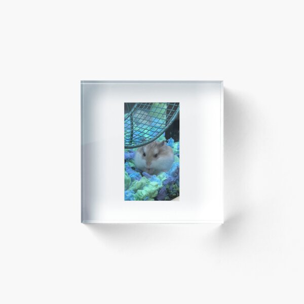 Item preview, Fat Little Hamster designed and sold by Twittlefish.