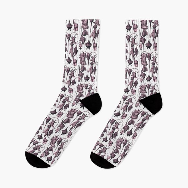 Item preview, Ernst Haeckel Peridinea Plankton Pink designed and sold by aimeewilson.