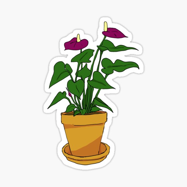 “Purple Anthurium Houseplant” Sticker for Sale by nameless—wolf