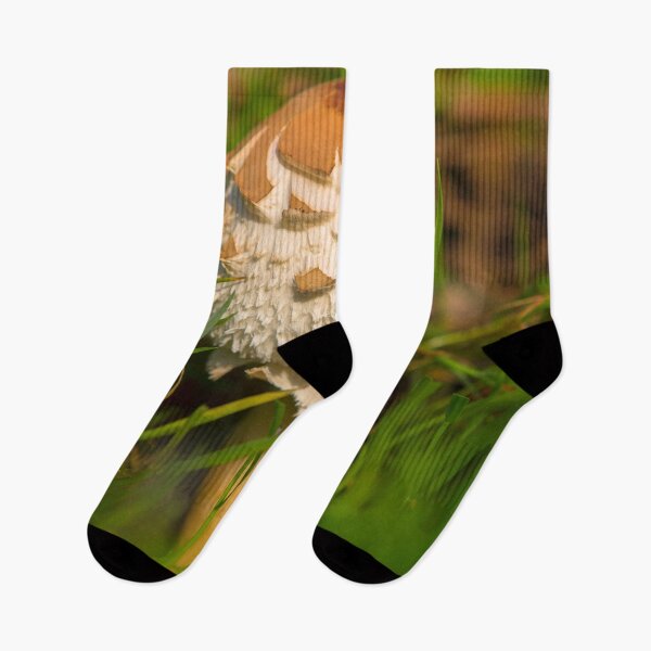 Item preview, Grassland Fungi designed and sold by Dave Hare Photography.