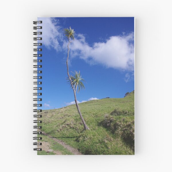 Item preview, Lone Tree on Busby Head, Whangarei designed and sold by lezvee.