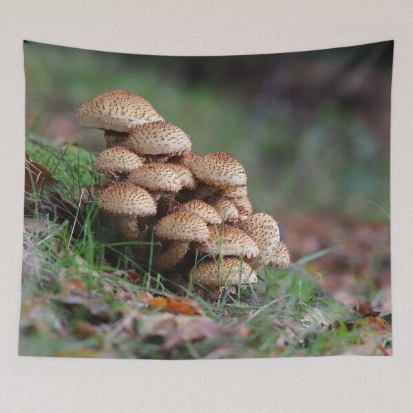 Item preview, Shaggy scalycap designed and sold by cuprum.