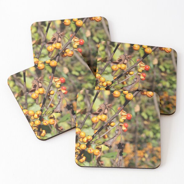 Item preview, New England Fall Scenery designed and sold by mymysterycloset.