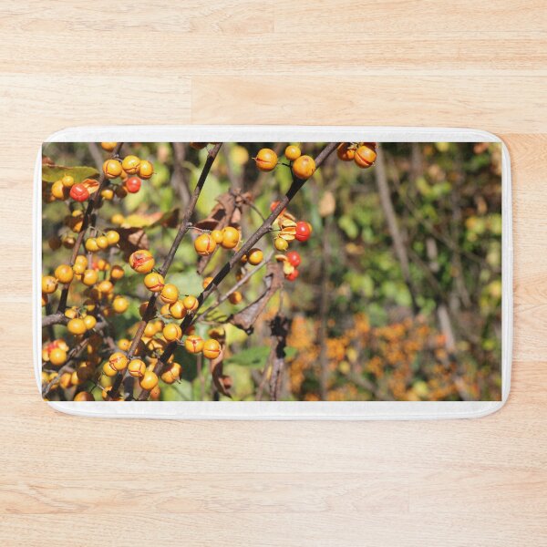 Item preview, New England Fall Scenery designed and sold by mymysterycloset.