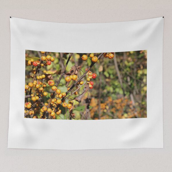 Item preview, New England Fall Scenery designed and sold by mymysterycloset.