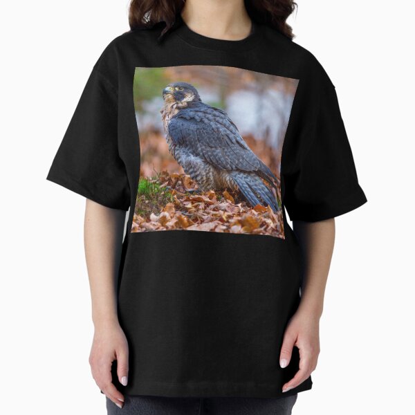 Peregrine Falcon Oversized T-Shirt