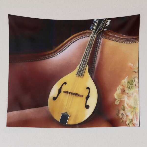 Item preview, Mandolin on Couch designed and sold by Susan Savad.
