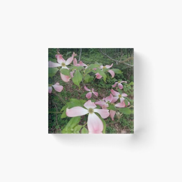 Item preview, Beautiful Pink Dogwood designed and sold by mymysterycloset.