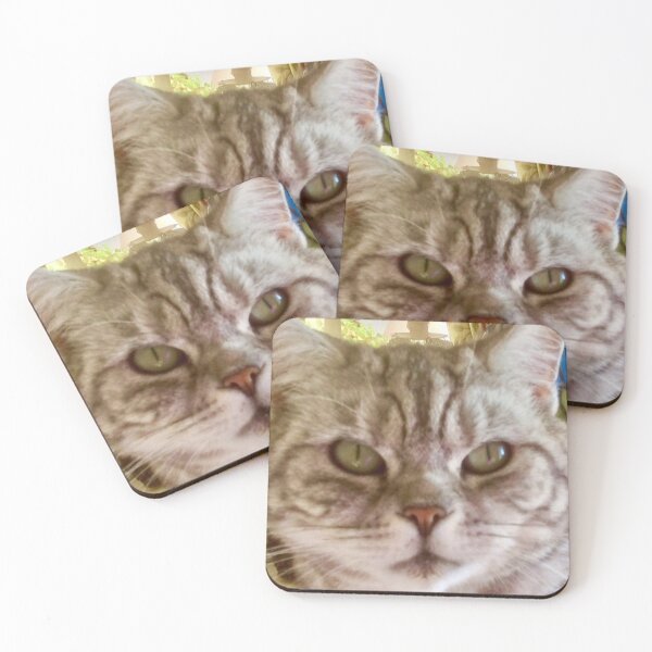 Item preview, “Mollycoddled” designed and sold by Angela Haig-Harrison.